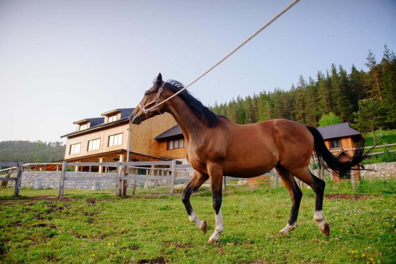 Hotel Etno Selo Zminica Žabljak Exterior foto